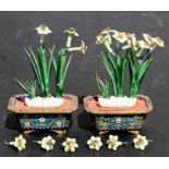 A pair of Chinese enamelled flowers in cloisonne planters, 10cms (4ins) high.