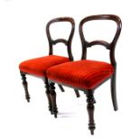 A pair of Victorian mahogany balloon back chairs on turned front supports.
