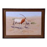 Colin Scott- Kestin (20th century British) - Study of a Scimitar Oryx and its Foal - signed lower