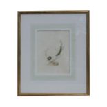 English school - Study of Two Cabbage White Butterfly Caterpillars - watercolour, framed & glazed,