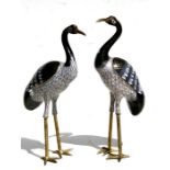 A pair of cloisonne figures of cranes, 23cms (9ins) high.Condition Report One top leg with