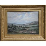 Victorian school - Coastal Moorland Scene - oil on board, framed & glazed, 43 by 32cms (17 by 12.