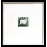 Frans Wesselman (Dutch 20th century school) - Sheep I - limited edition coloured etching, 45/100,