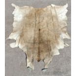 A large cowhide rug.