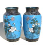 A pair of Japanese Meiji period cloisonne vases decorated with birds, insects and flowers on a