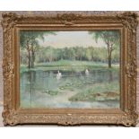 C Raphael - Woodland Pond Scene With Swans - signed lower left, oil on canvas, framed, 44 by