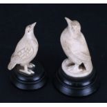 Two 19th century carved ivory / bone birds mounted on ebonised plinths, possibly Prisoner of War