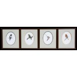 Simon Turvey (b1957) - four watercolour studies of British native birds, each signed lower right,