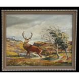 Dick Boocher (modern British) - Stag in a Highland Glen - signed lower left, oil on canvas,