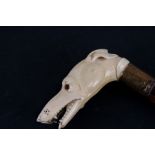 A Malacca walking cane with carved ivory handle in the form of a greyhound, with glass eyes (lacks