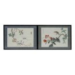 A set of four Chinese watercolour paintings on silk paper depicting exotic birds and foliage, framed