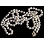 A single strand pearl necklace with 15ct gold clasp, 96cms (38ins) total length.