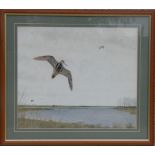 Peter Hayman (b1930) - Snipe Rising from a Lake - signed lower right, watercolour, framed, 50 by