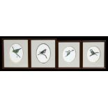 Simon Turvey (b1957) - four watercolour studies of British native birds, each signed lower right,