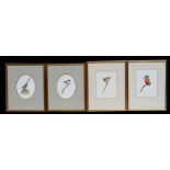 Simon Turvey (b1957) - four watercolour studies of British native birds, each signed lower right,