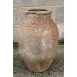 A terracotta olive jar of ovoid form, 50cms (20ins) high.