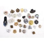An assortment of 30 Military badges