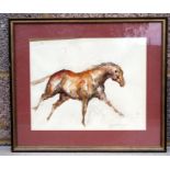 Modern British - Study of a Galloping Horse - indistinctly signed lower right, pencil and