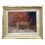 Maurice Clark - A Wired-Haired Terrier Standing in a Yard - oil on canvas, signed lower right,