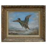 H A Russell (modern British) - A Duck Rising - oil on canvas, signed lower right, framed, 41 by