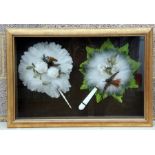 Two 19th century feather fans with bone handles, mounted in a gilt box frame.