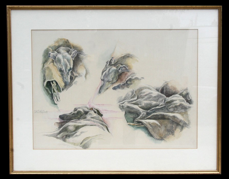John Hopwood (1942-2015) - Studies of a Dog's Head - pastel & watercolour, signed & dated March