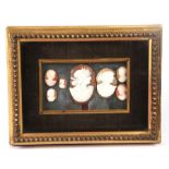 A group of seven carved cameos, framed as one in a gilt easel frame, overall 23 by 17cms (9 by 6.