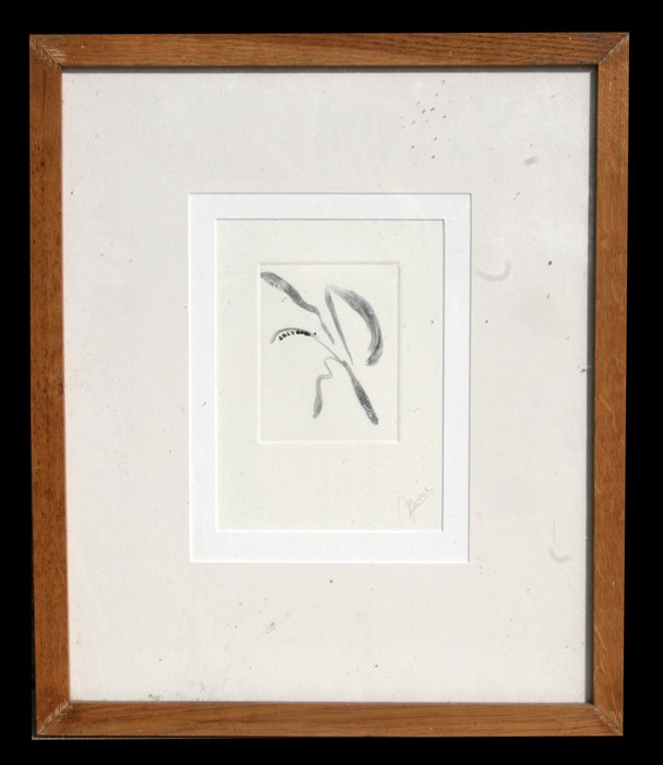 20th century modern British - Stylised Flower - lithograph, signed in pencil to the margin, framed &