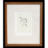 20th century modern British - Stylised Flower - lithograph, signed in pencil to the margin, framed &