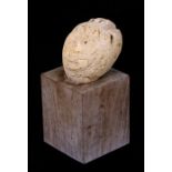 A pumice stone carving in the form of a head (possibly Inuit), mounted on a wooden plinth, 15cms (