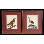 A pair of coloured bookplates, one depicting a hawk, the other a heron, framed & glazed, 19 by 24cms