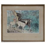 A W Seaby - A Goat and Kids by a Tree - coloured engraving, signed in pencil to the margin, framed &