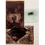 Robert Rauschenberg The Razorback Bunch I Etching