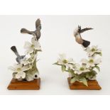 Dorothy Doughty Pair Gnatcatcher Birds Porcelain