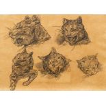 attrib. to Theodore Gericault Study of Cat's Heads