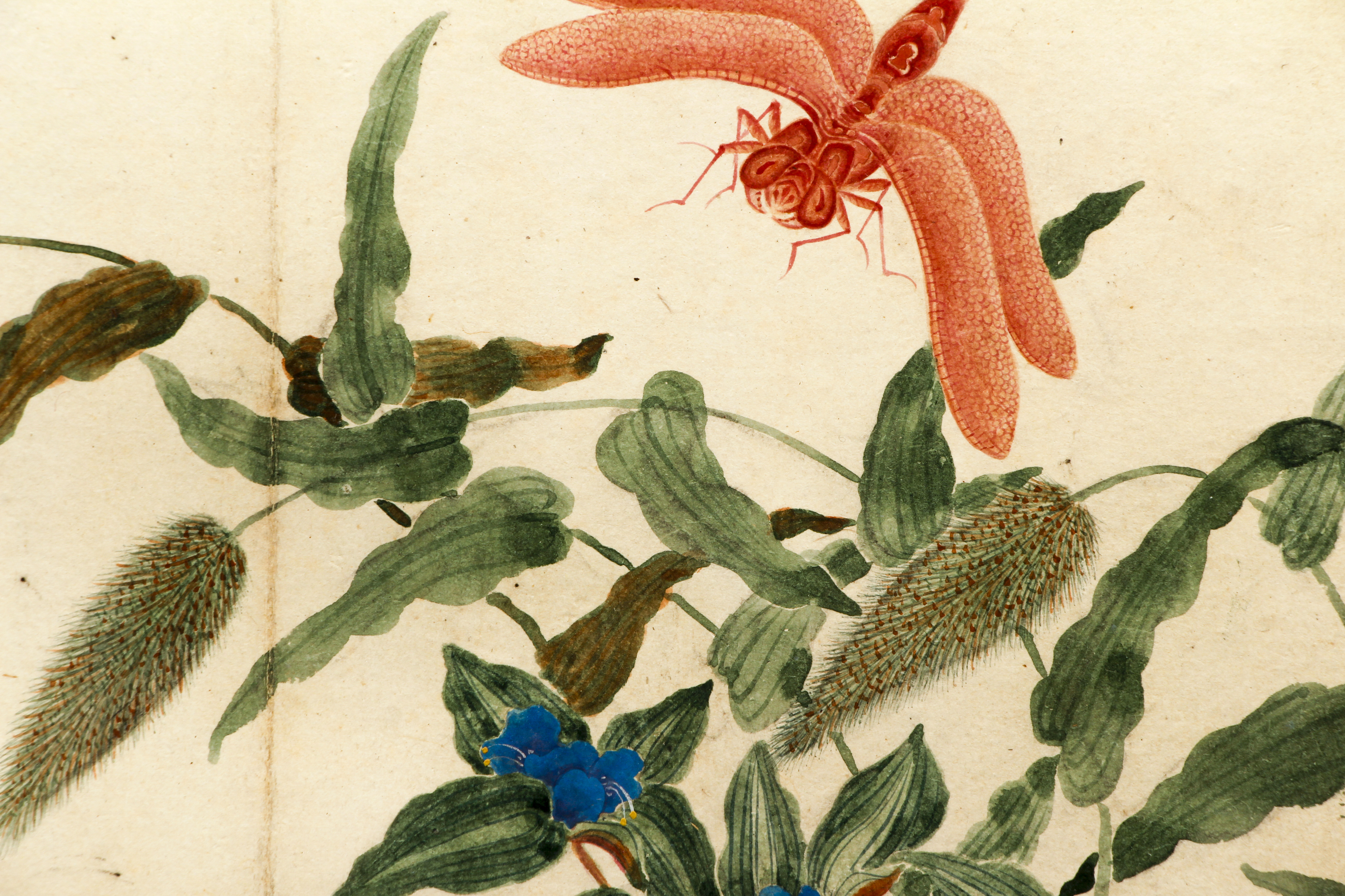 Chinese Watercolor c.1820 Butterfly Dragonfly - Image 4 of 4