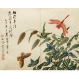 Chinese Watercolor c.1820 Butterfly Dragonfly