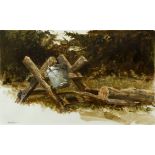 Franklin Reed Jones watercolor Sawhorse and Bucket