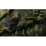 Wilhelm J. Goebel painting Spotted Owl on Mossy Branch