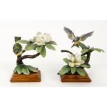 Dorothy Doughty Pair Parula Warbler Birds Porcelain