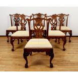 6 extensively carved Chippendale style dining chairs