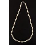 Cultured Pearl Necklace