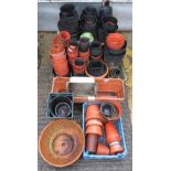 QUANTITY OF FLOWER POTS