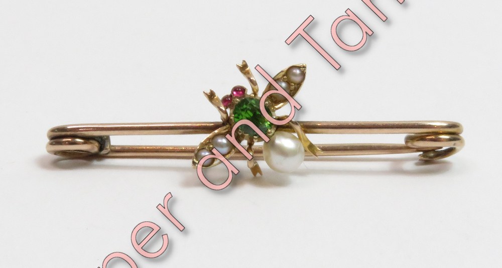 A stone set bug bar brooch, the insect with cabochon eyes, demantoid garnet thorax and pearl (