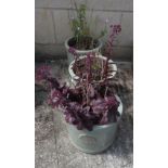 3 SAGE GREEN HERITAGE GARDEN POTTERY POTS