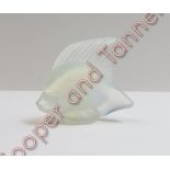 A Lalique opalescent glass model of an angelfish, 5.3cm wide