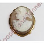 A late Victorian shell cameo brooch, the shaped frame stamped '9ct', 5.2 cm long, 12.5 g gross