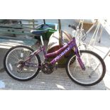 24 PROBIKE VOGUE GIRLS RIGID BICYCLE"