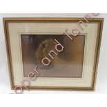 Donaldson (?) (20th Century) - Portrait of a lion, chalk, signed, label for Halcyon Gallery,