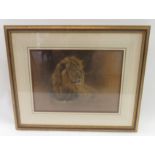 DONALDSON(?), 20TH CENTURY, PORTRAIT OF A LION, CHALK, SIGNED, LABEL FOR HALCYON GALLERY, BIRMINGHAM